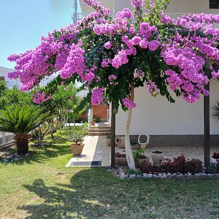 Vila Adriatik Ulcinj Esterno foto