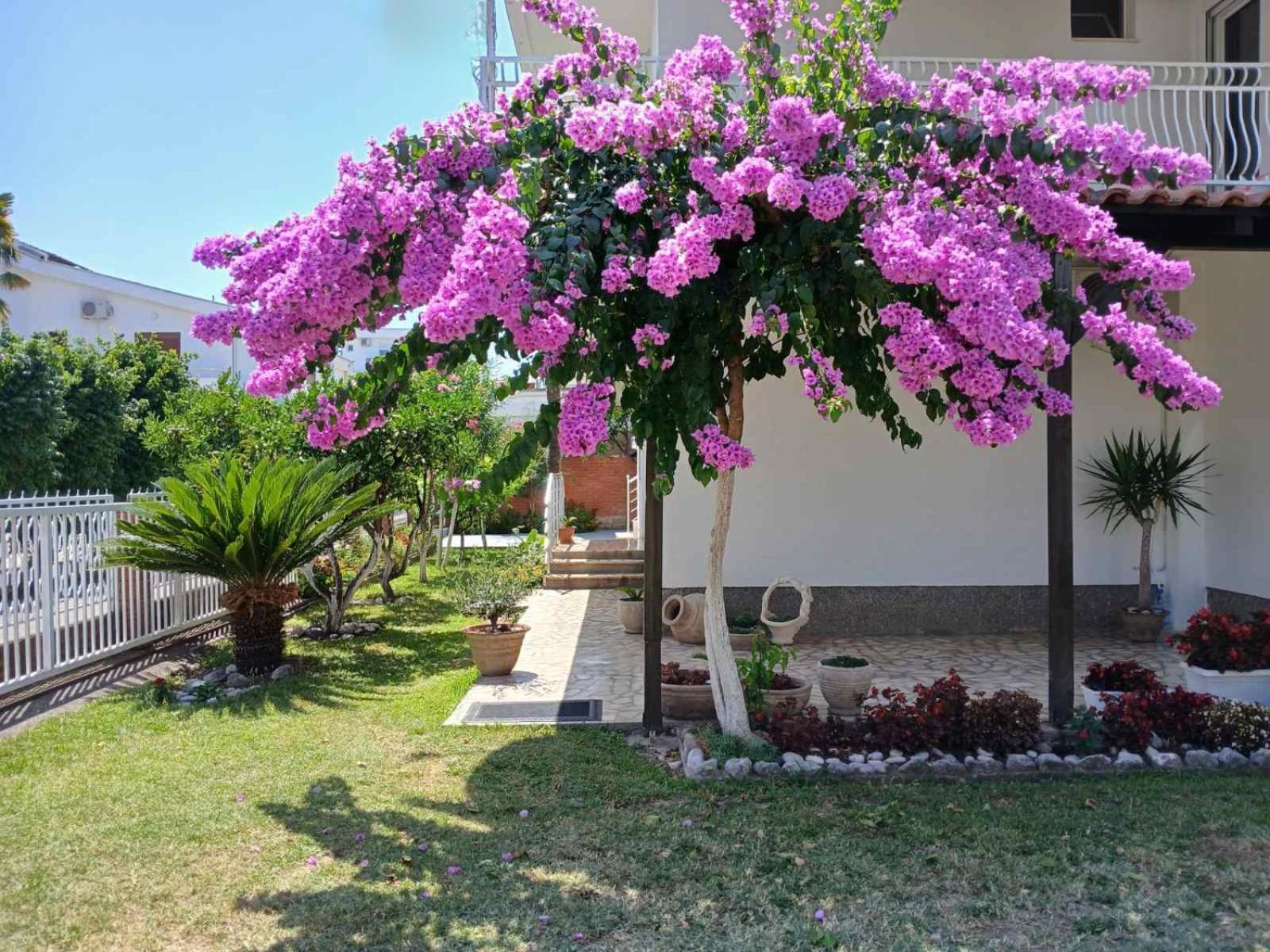Vila Adriatik Ulcinj Esterno foto