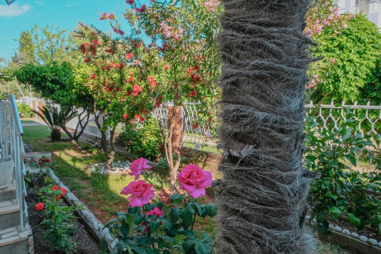 Vila Adriatik Ulcinj Esterno foto